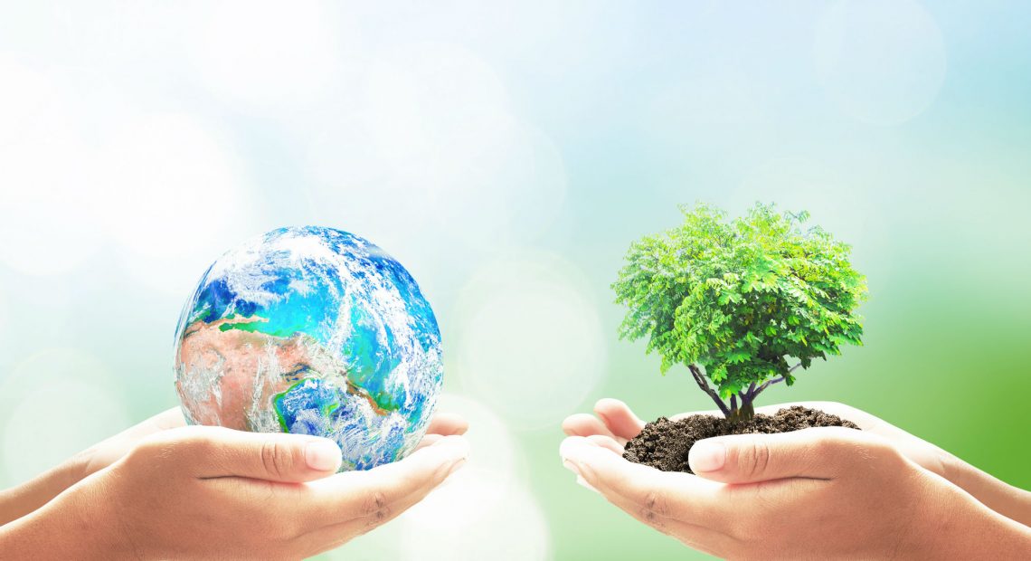 30 easy, simple ways we can all help save Earth